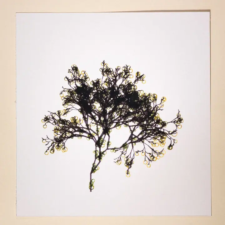 More trees
